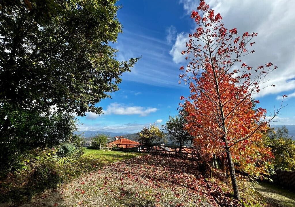 Photo of Outdoor in Celorico de Basto