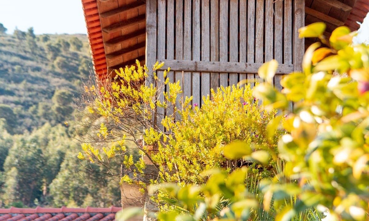 Photo of Outdoor in Barroselas