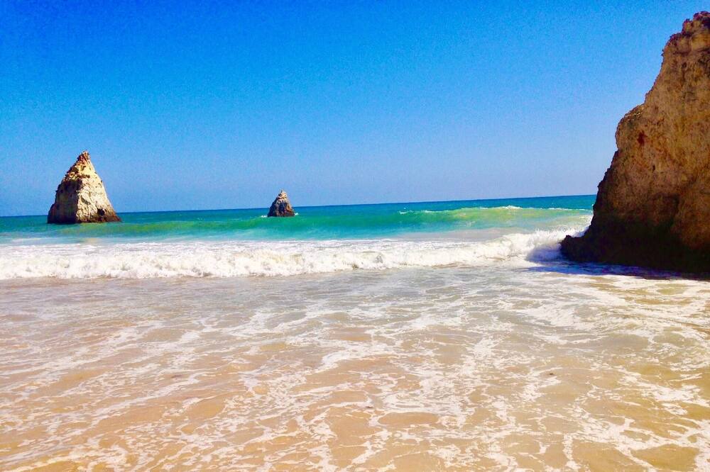 Photo of Others in Prainha