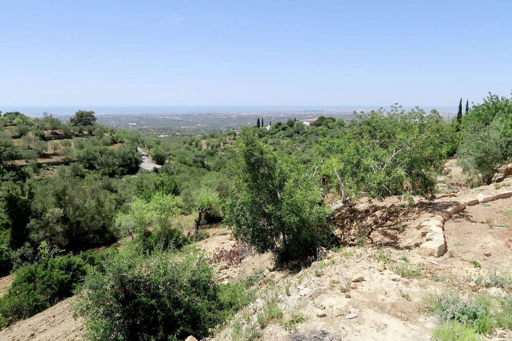 Photo of Others in Estoi