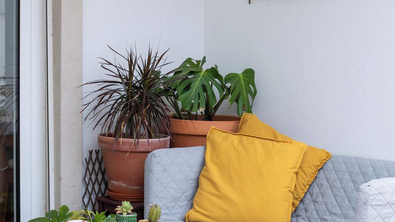 Photo of Patio Balcony in Ajuda