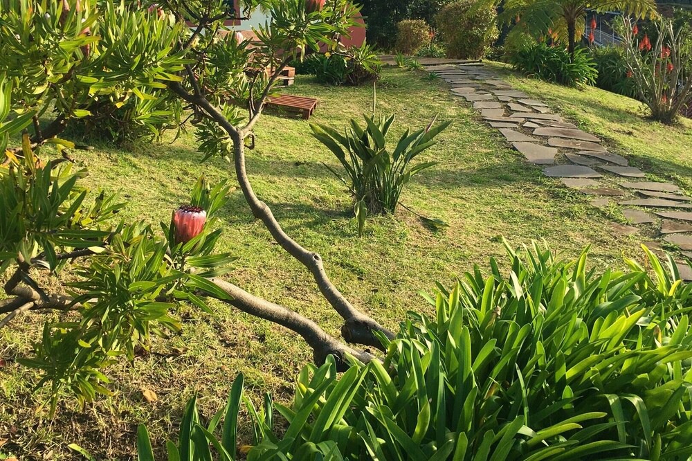 Photo of Others in Ponta do Pargo