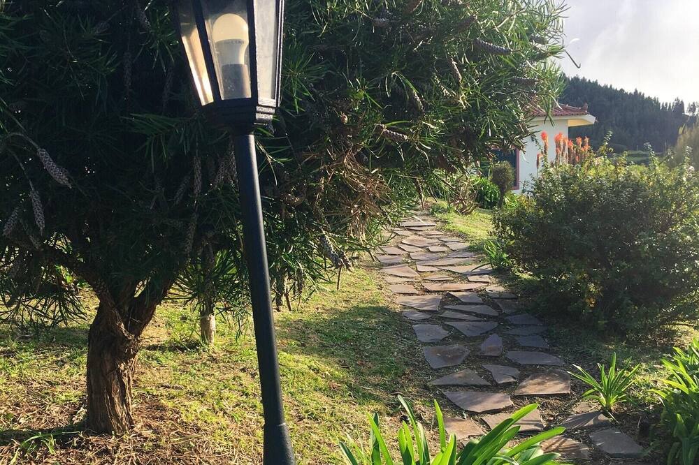 Photo of Outdoor in Ponta do Pargo