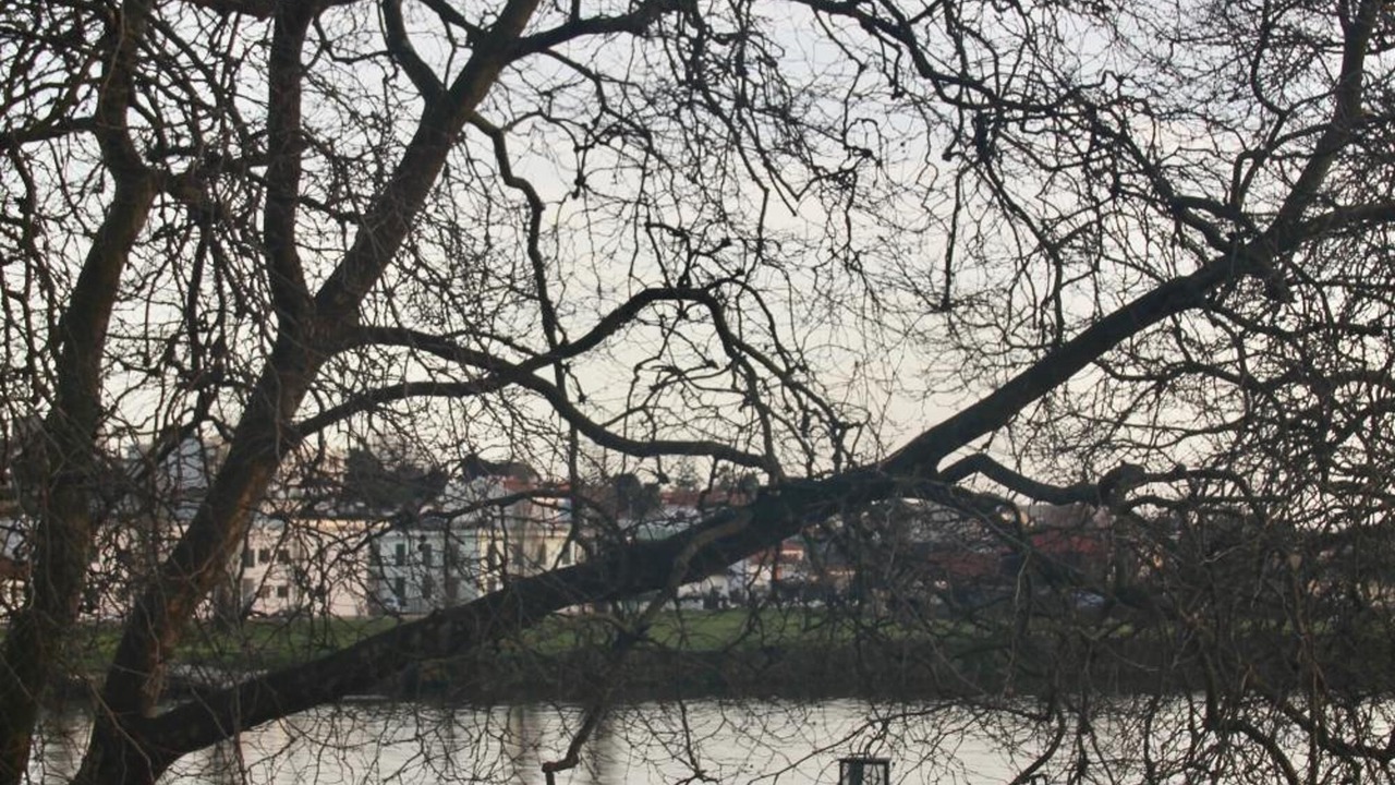 Photo of Outdoor in Vila do Conde