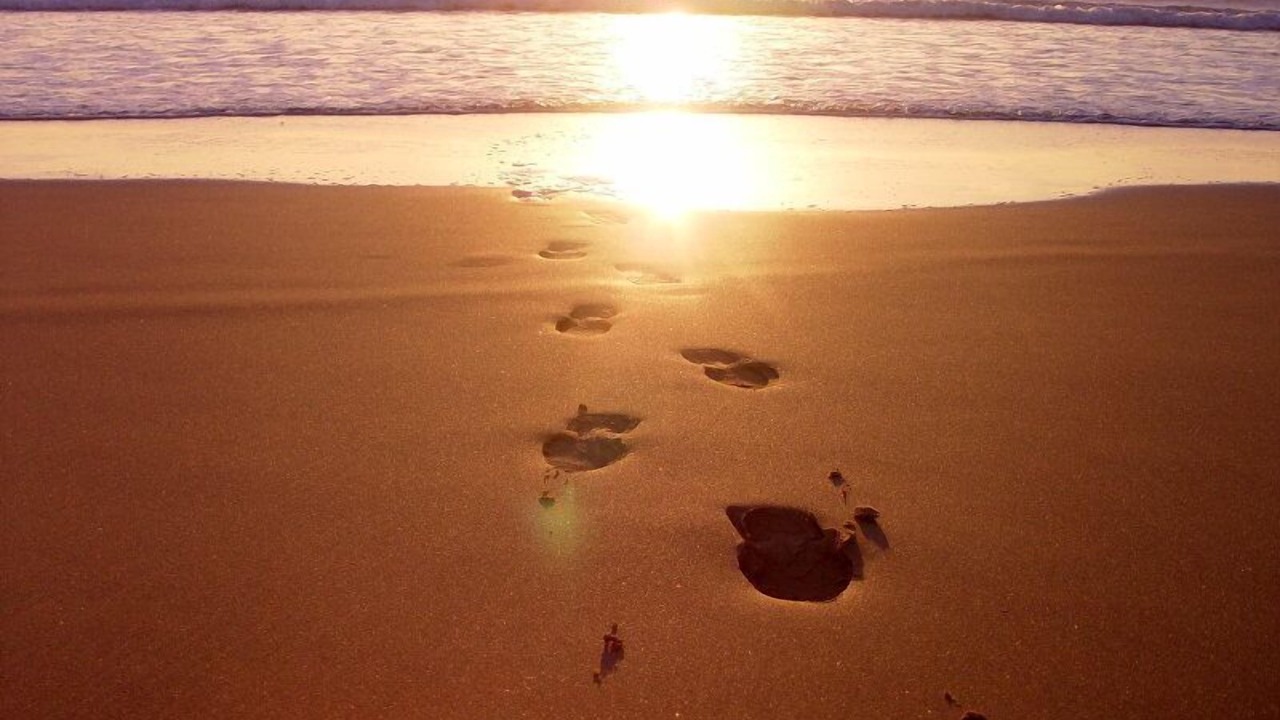 Photo of Others in Praia de Faro