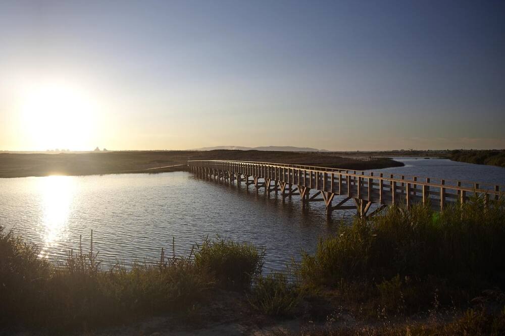 Photo of Outdoor in Salgados