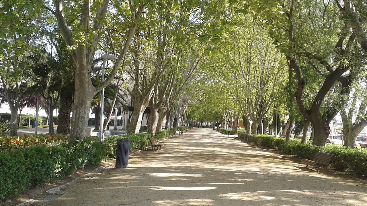 Photo of Outdoor in Alverca do Ribatejo