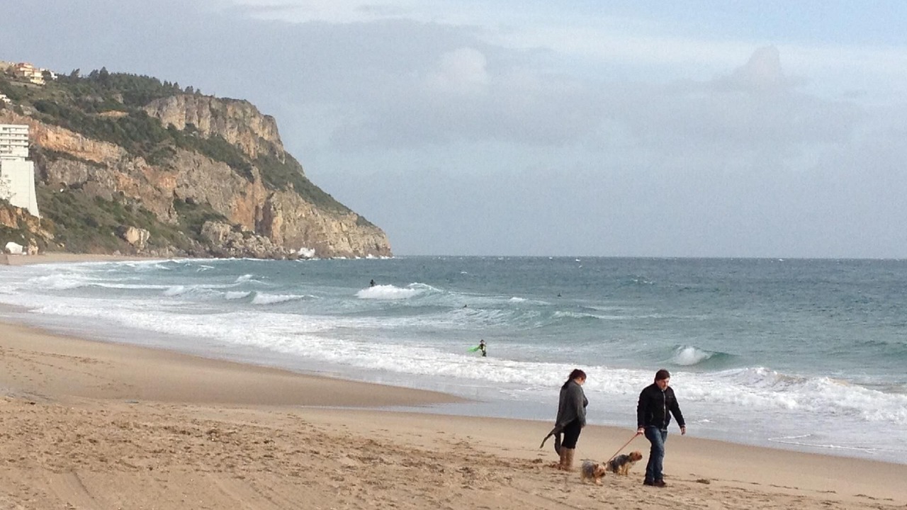 Photo of Others in Sesimbra
