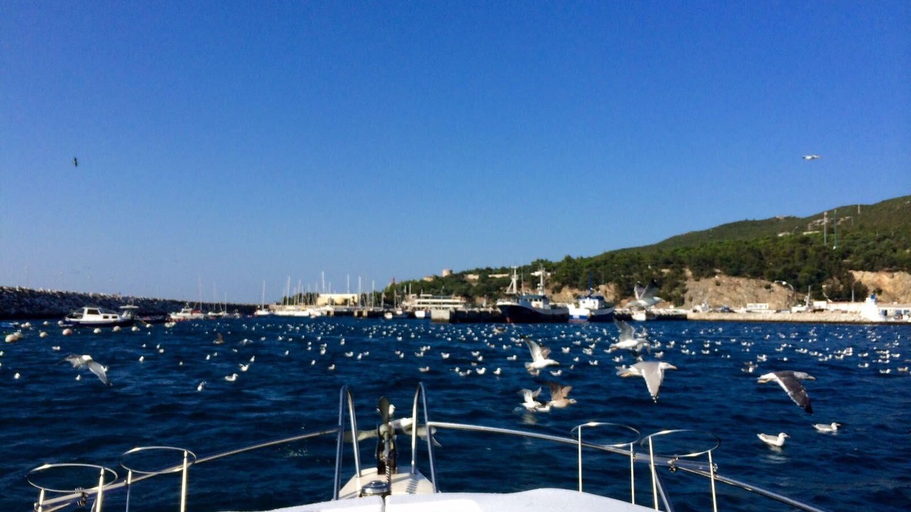 Photo of Others in Sesimbra