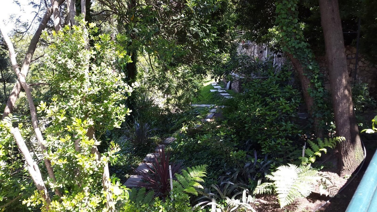 Photo of Outdoor in Monserrate