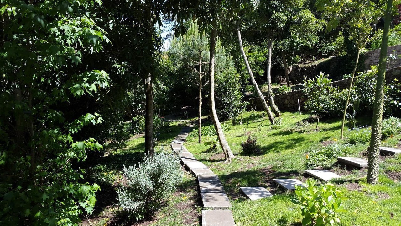 Photo of Outdoor in Monserrate