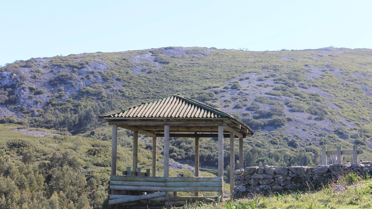 Photo of Outdoor in Lamas