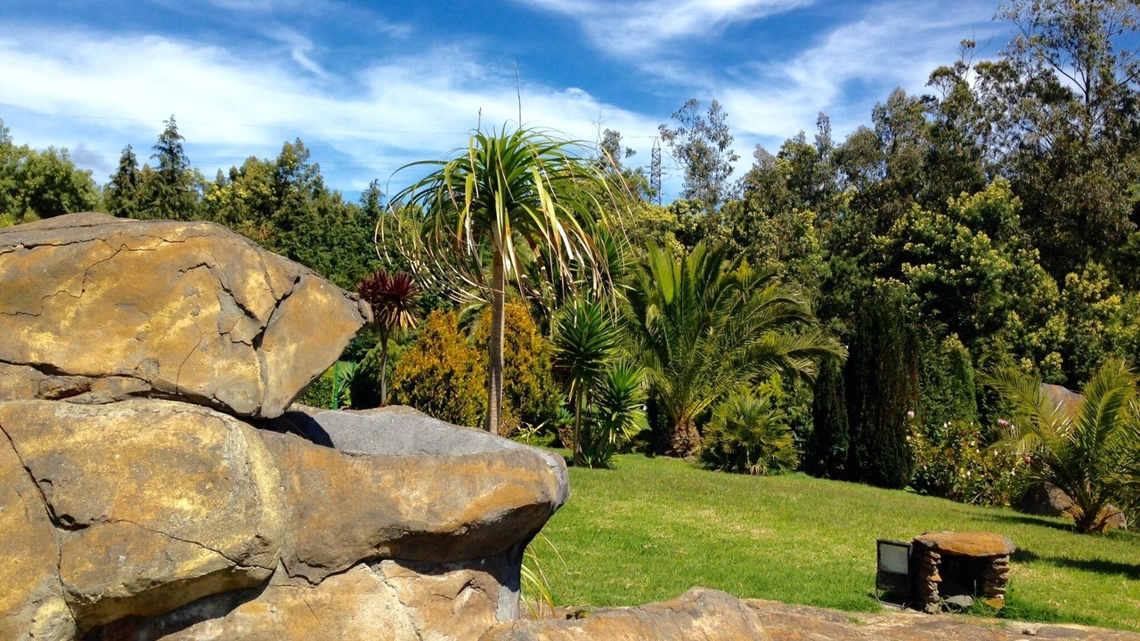 Photo of Outdoor in Santo da Serra