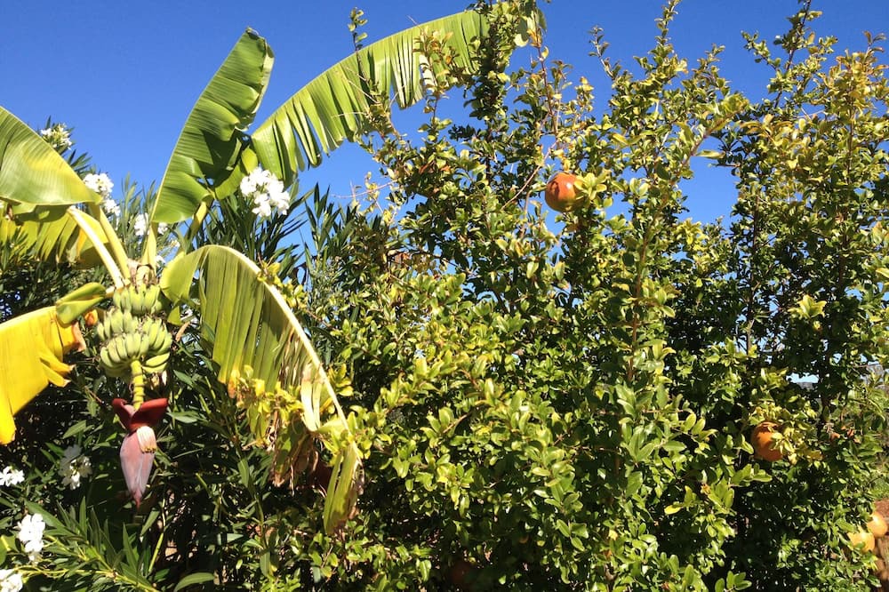 Photo of Outdoor in Ferrarias