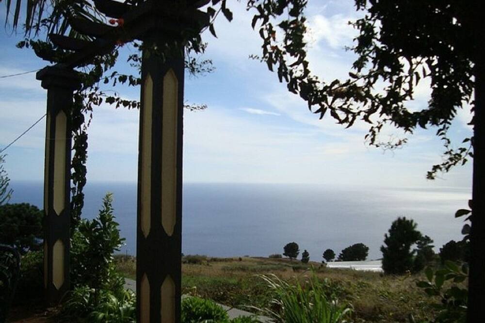 Photo of Others in Estreito da Calheta