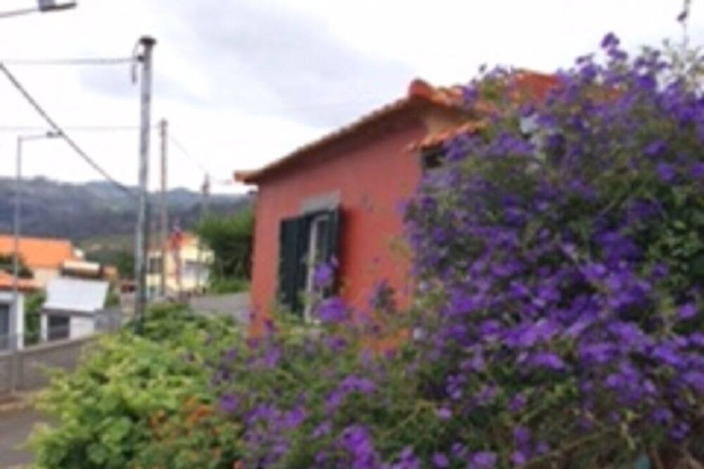Photo of Outdoor in Arco da Calheta