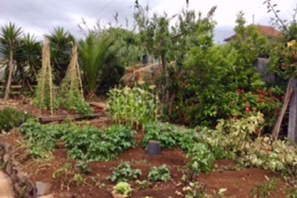 Photo of Outdoor in Arco da Calheta