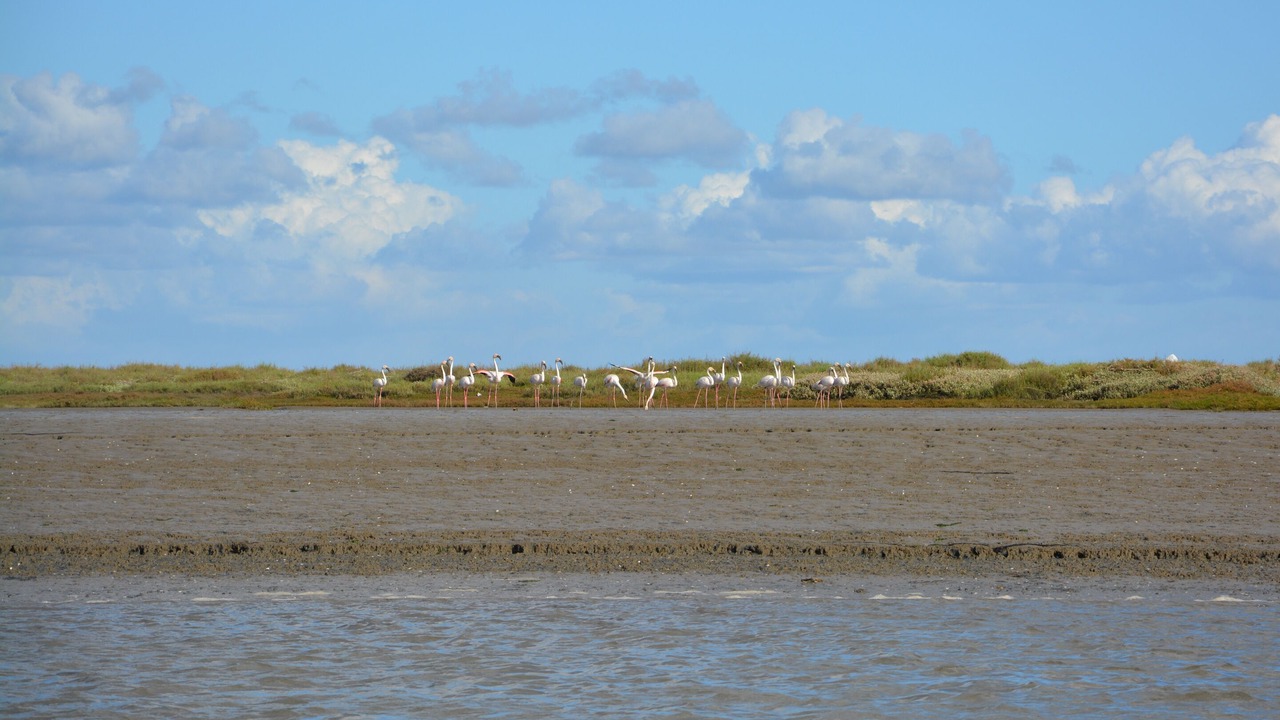 Photo of Others in Parque das Nacoes