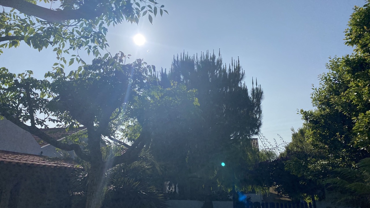 Photo of Outdoor in Pico da Pedra