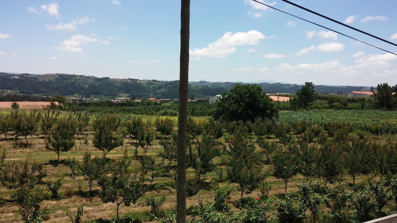 Photo of Others in Casal do Pardo