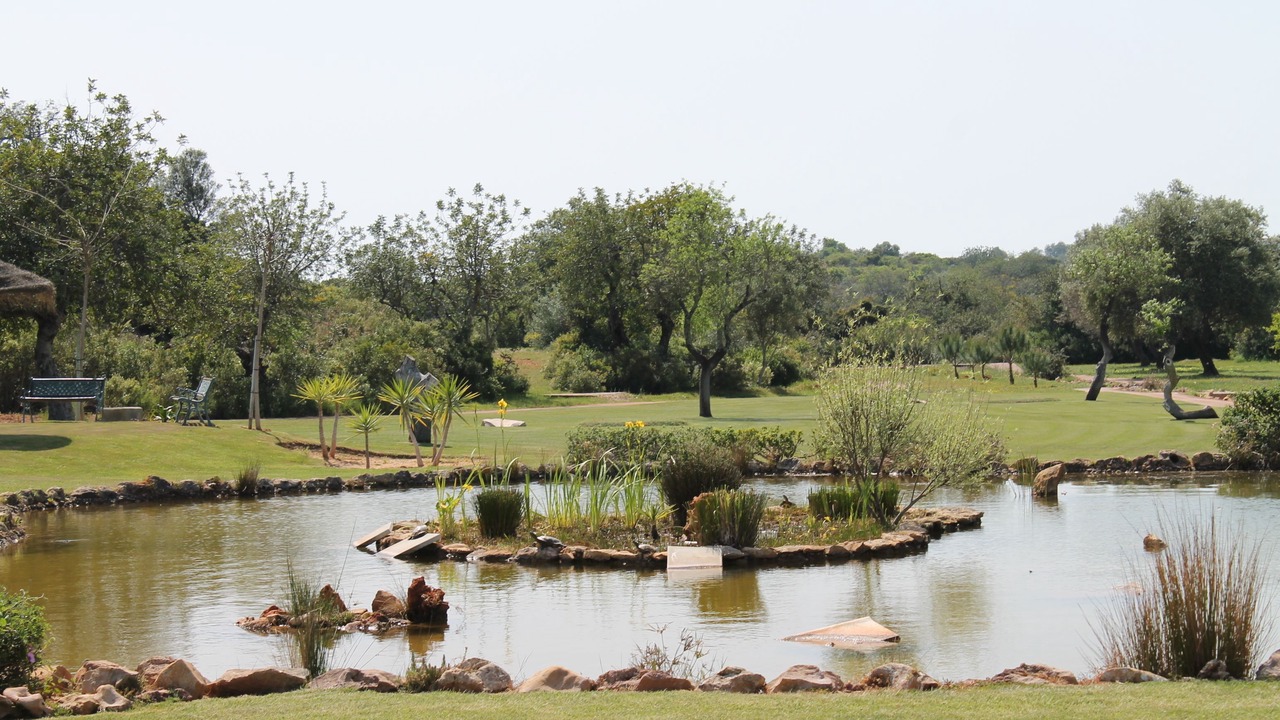Photo of Outdoor in Paraiso