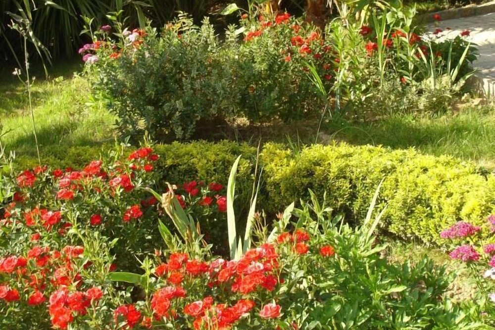 Photo of Outdoor in Ossela