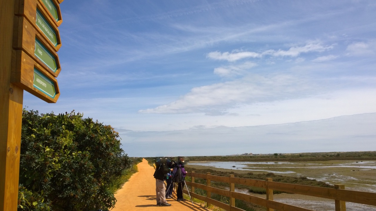 Photo of Others in Quinta do Lago