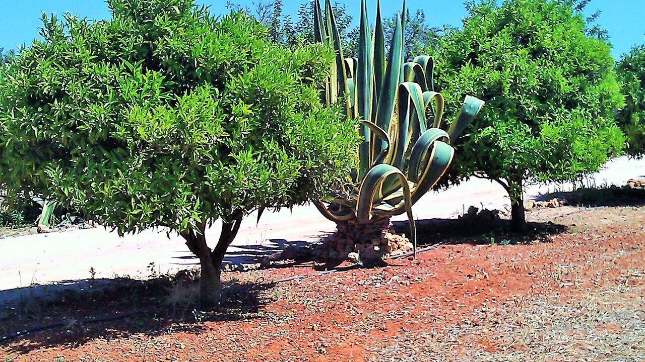 Photo of Outdoor in Alpouvar
