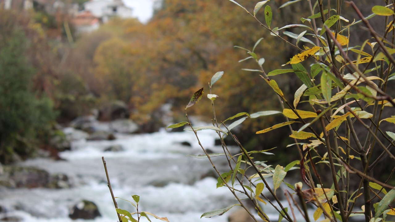 Photo of Outdoor in Peneda
