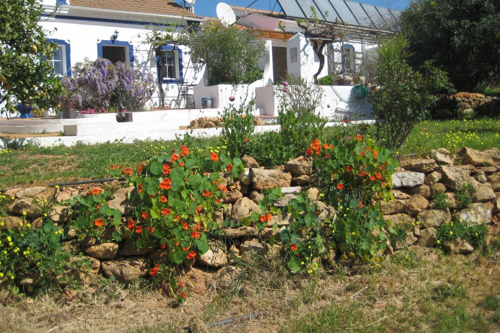 Photo of Outdoor in Boavista