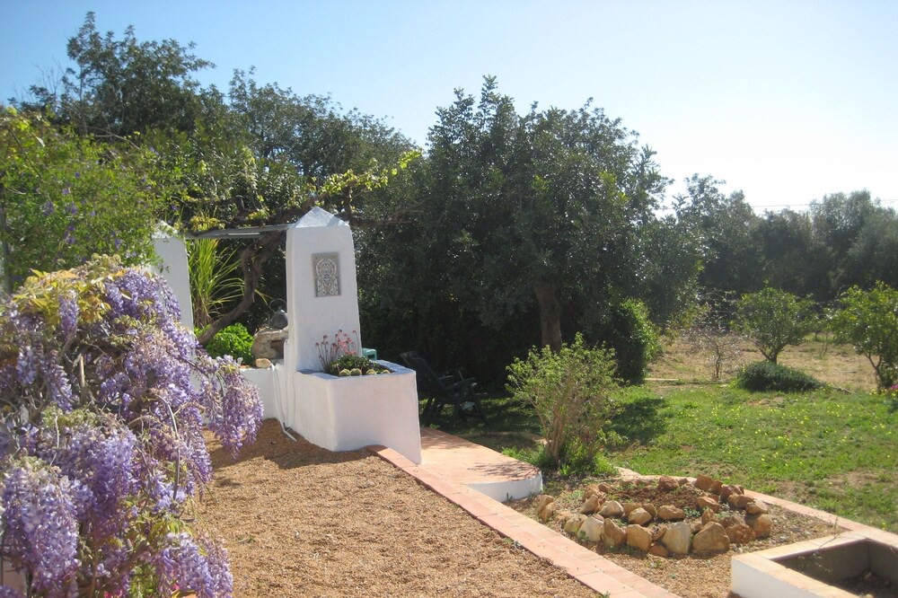 Photo of Outdoor in Boavista