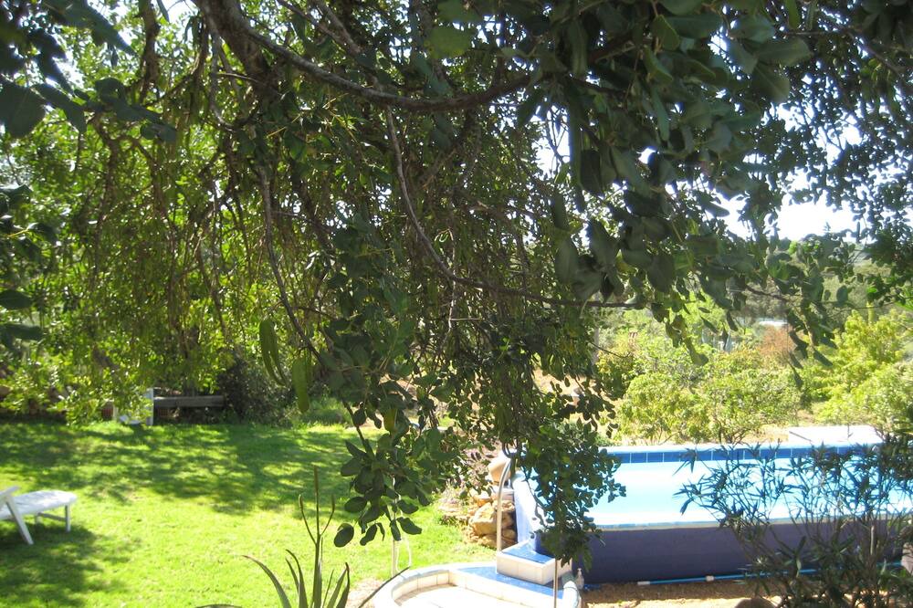 Photo of Outdoor in Boavista