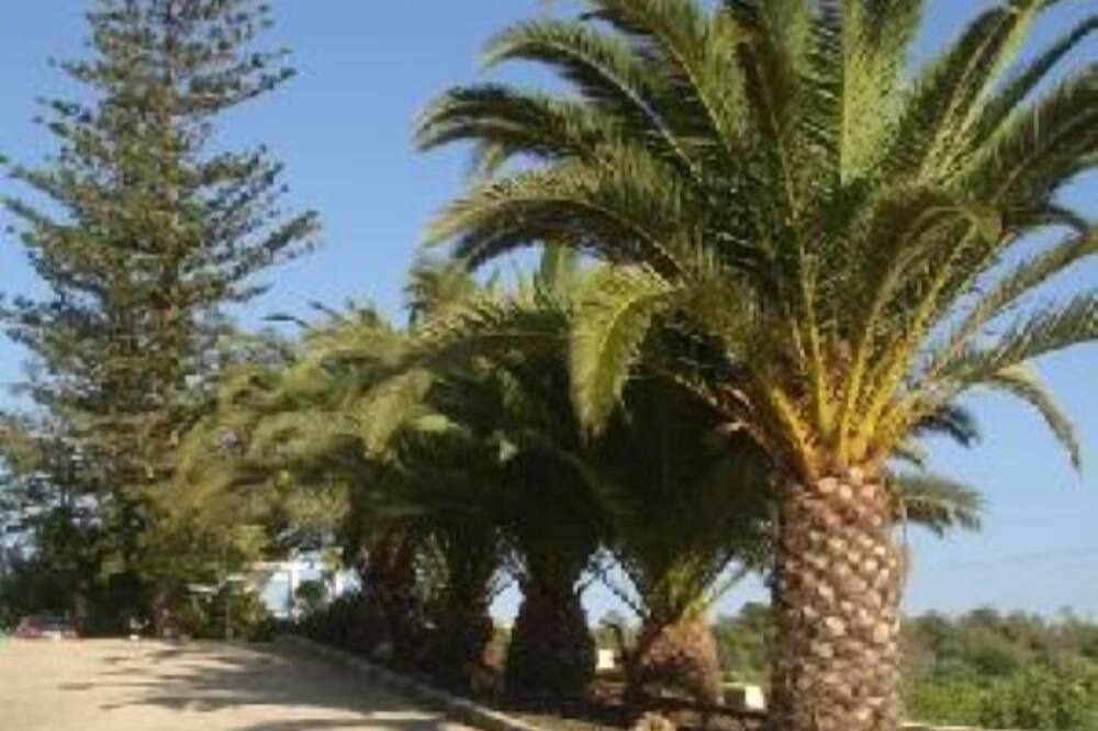 Photo of Outdoor in Quelfes