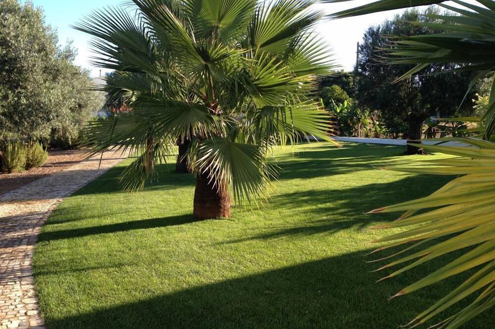 Photo of Outdoor in Moncarapacho e Fuseta