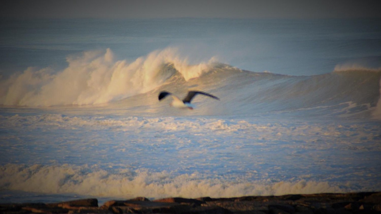 Photo of Others in Espinho