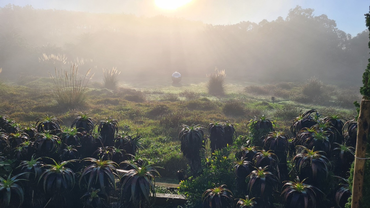 Photo of Outdoor in Azoia