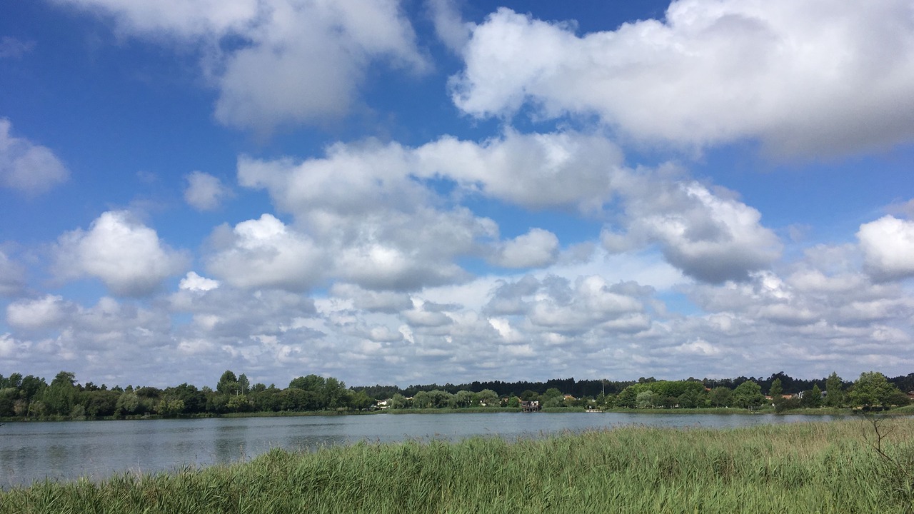 Photo of Outdoor in Mira