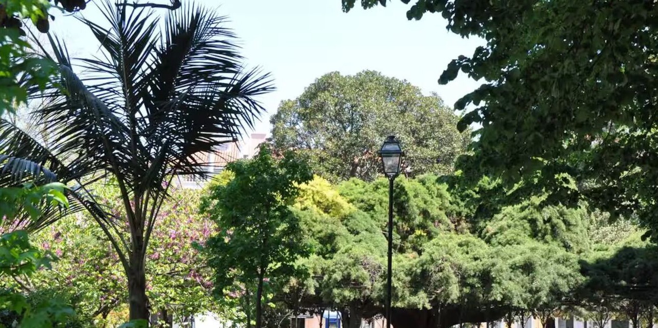 Photo of Outdoor in Encarnacao