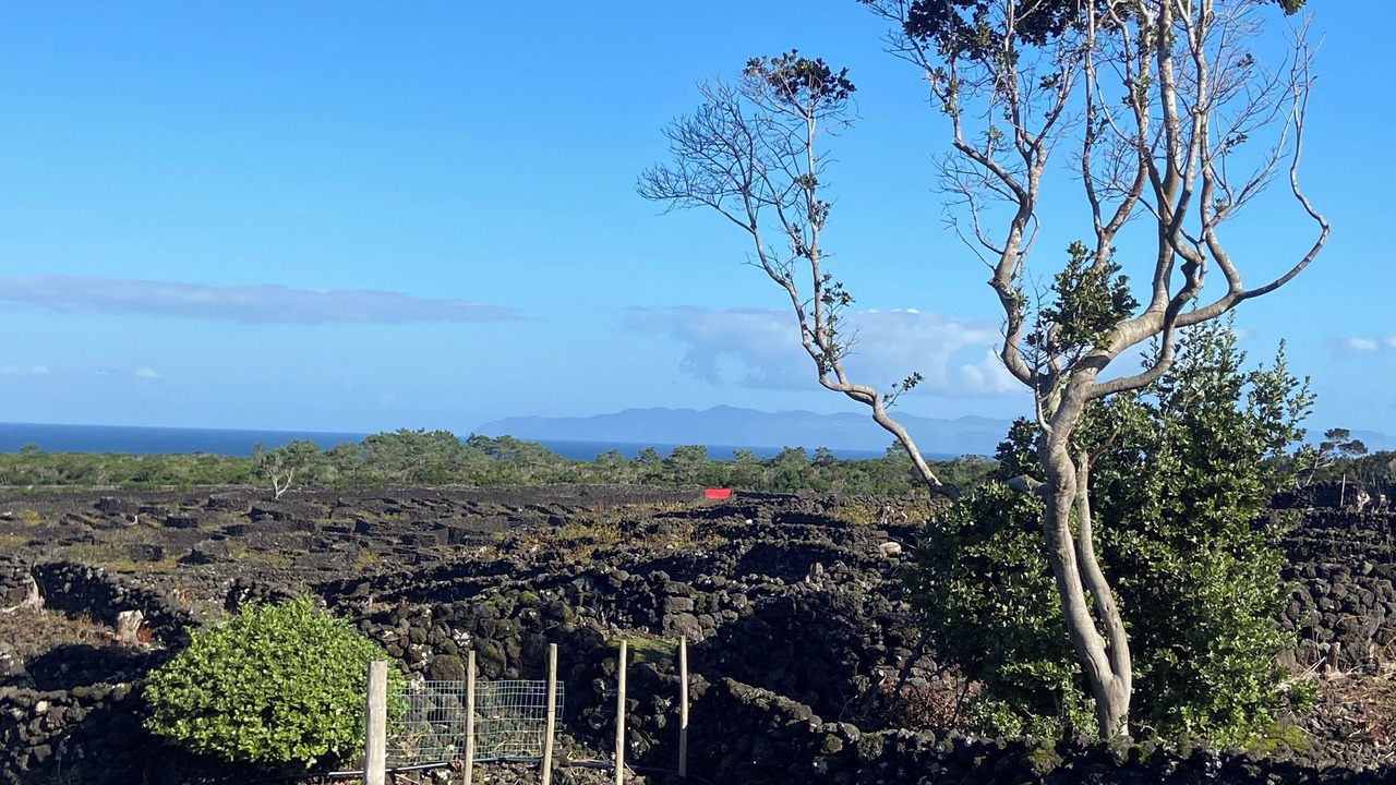 Photo of Outdoor in Sao Roque do Pico