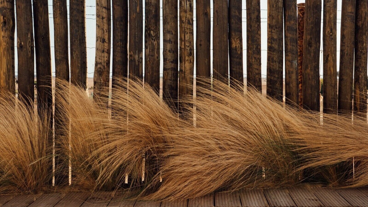 Photo of Outdoor in Sines