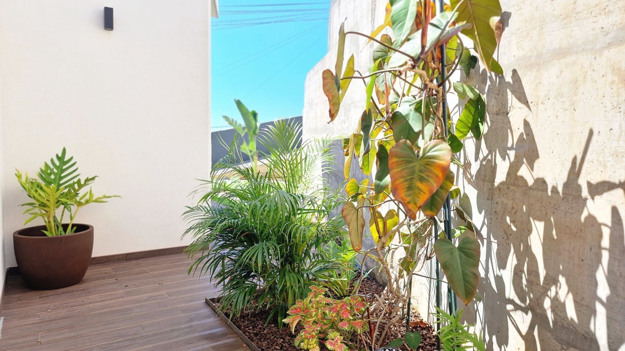 Photo of Outdoor in Imaculado Coracao de Maria