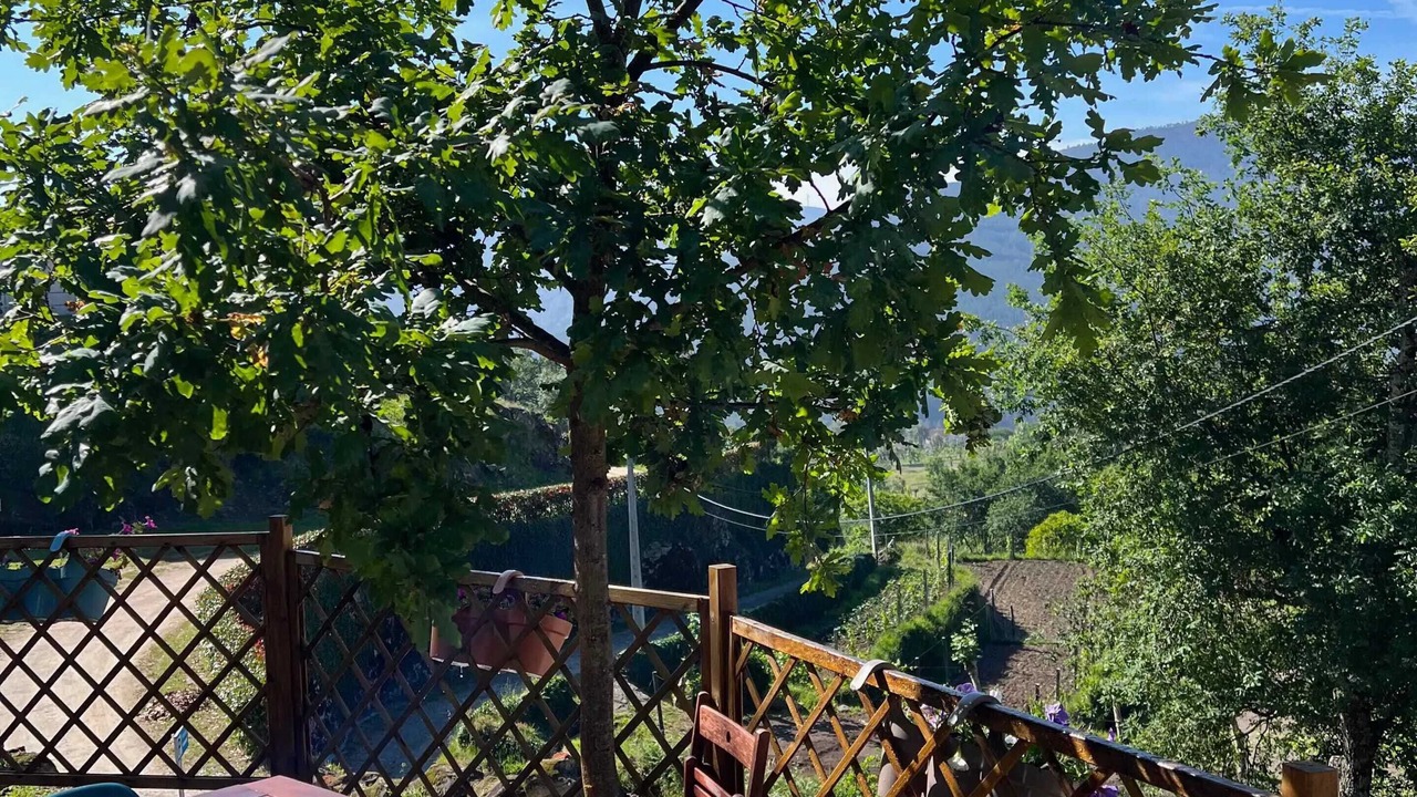 Photo of Outdoor in Mondim de Basto