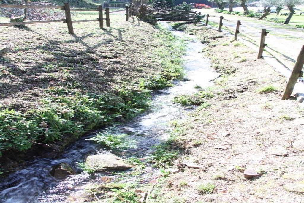 Photo of Outdoor in Friastelas