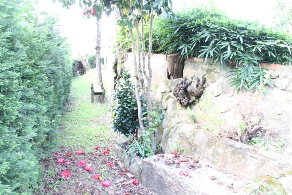Photo of Outdoor in Friastelas
