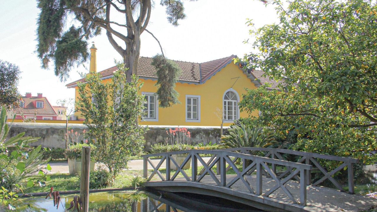 Photo of Others in Linda-a-Velha