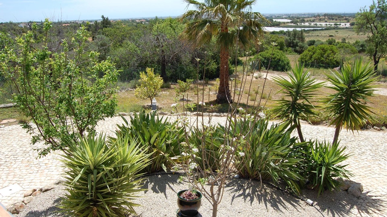 Photo of Outdoor in Falfosa