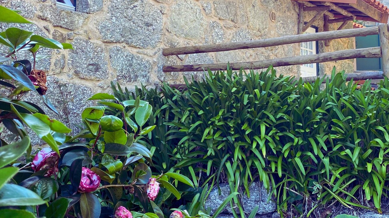Photo of Outdoor in Bico