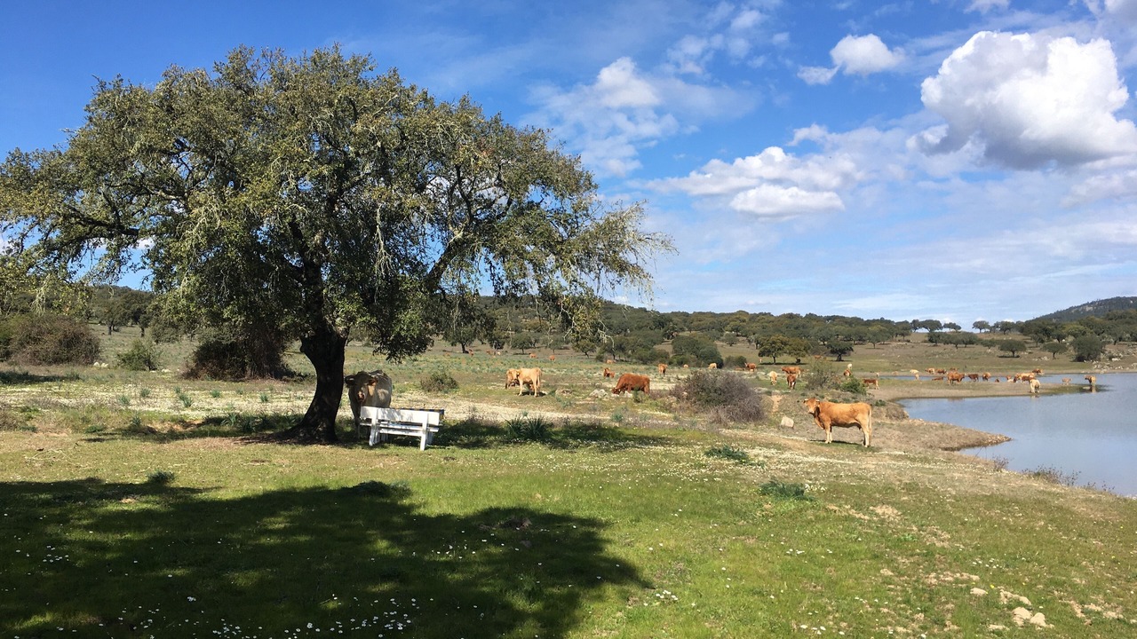Photo of Outdoor in Fortios