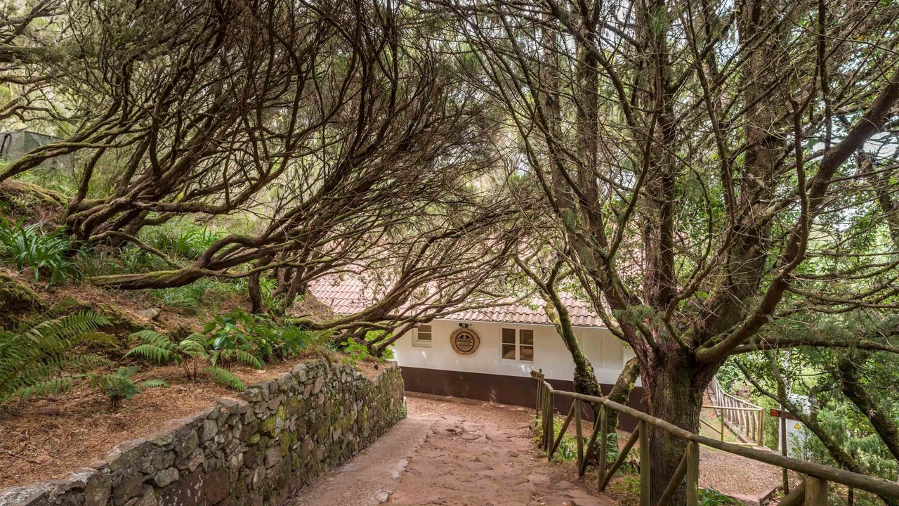 Photo of Outdoor in Calheta