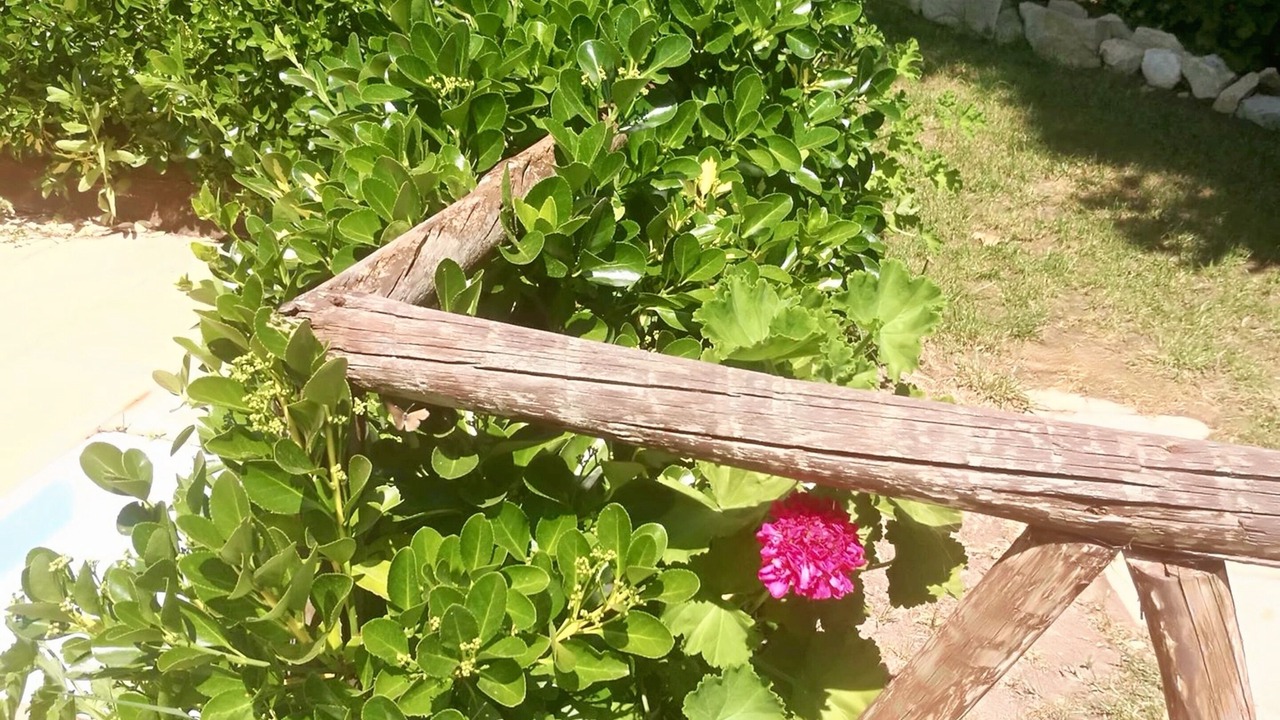 Photo of Outdoor in Carvalhal Benfeito